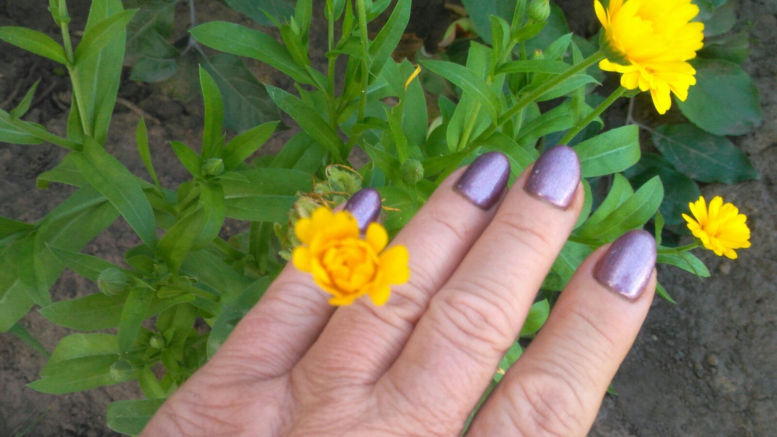 Отчистить ноги после дачи