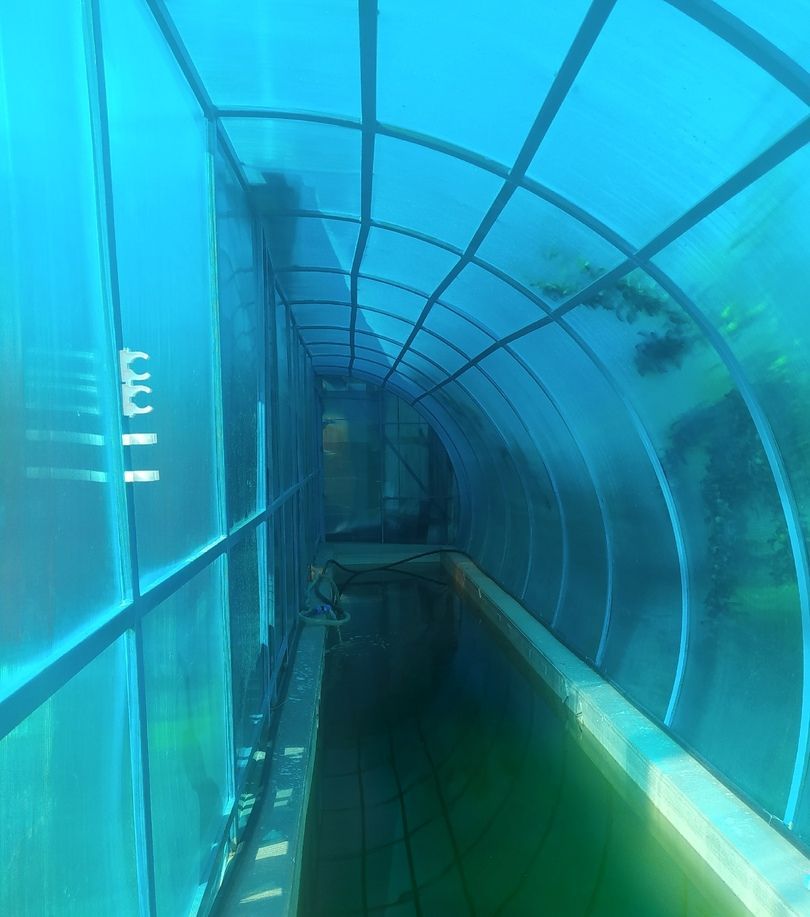 Бассейн на дачу своими руками