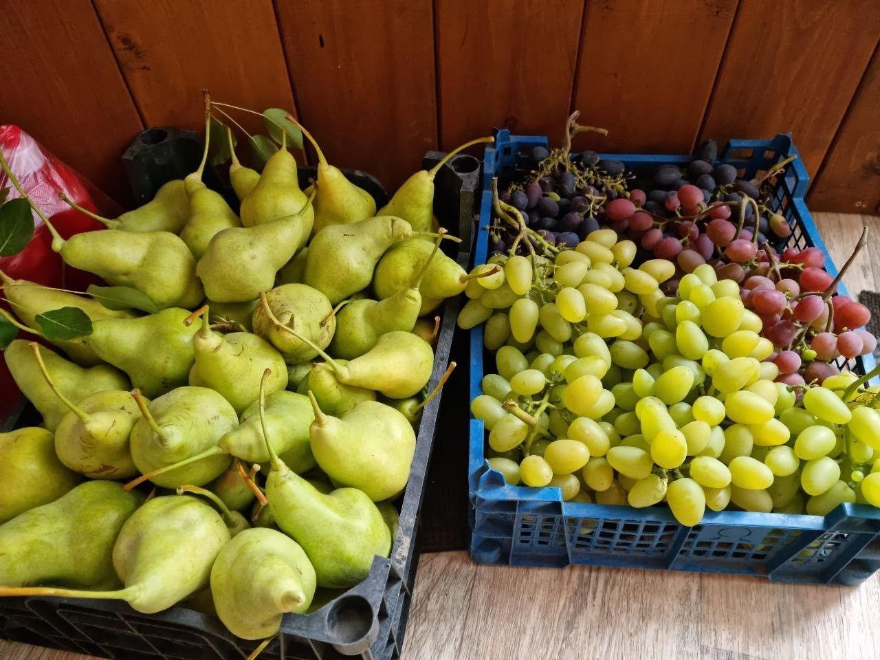 Шикарные домашние вина из груш винограда и сливы