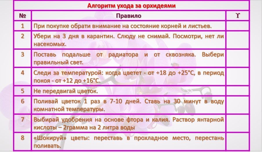 Правила ухода за орхидеями