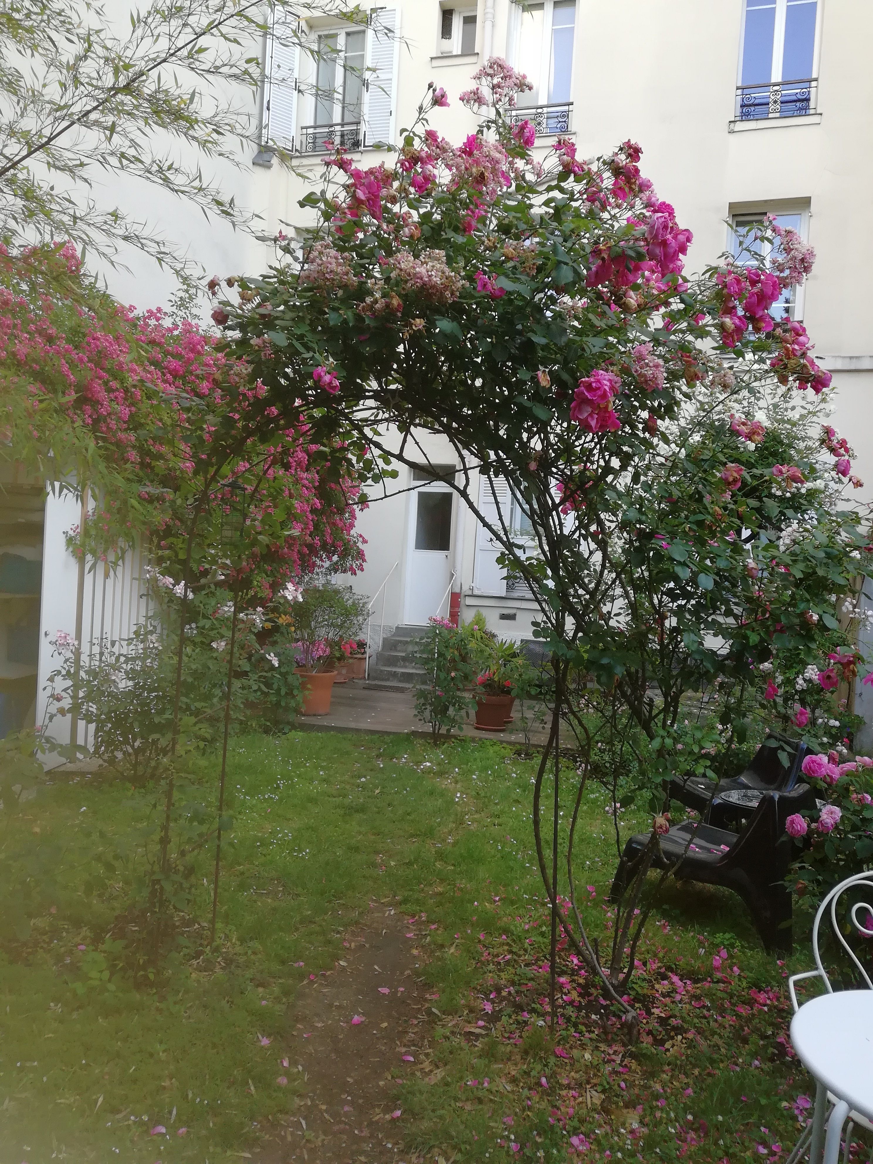 Как я научила себя гулять в одиночестве